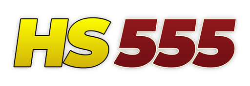 bdhs555.com Logo